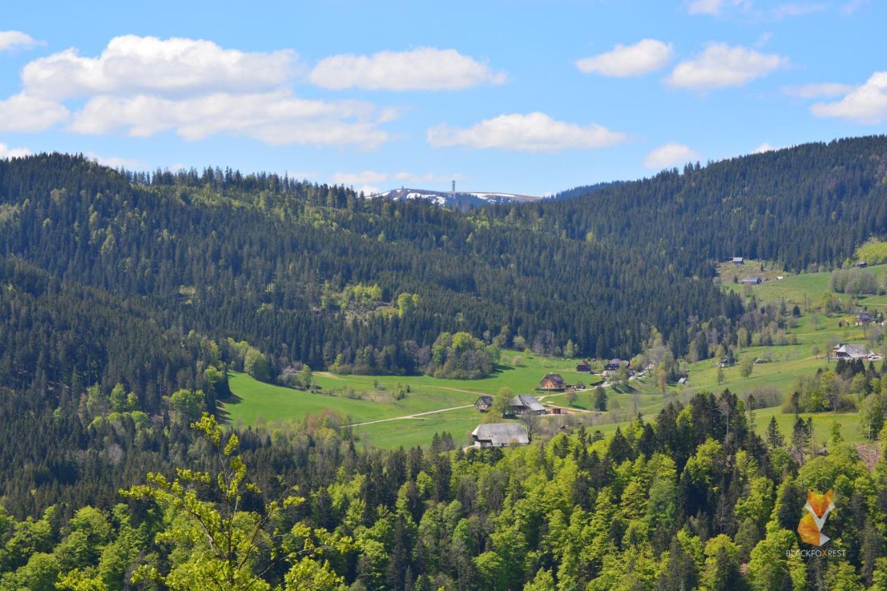 Blackfoxrest Ferienwohnung Feldberg  Exterior foto